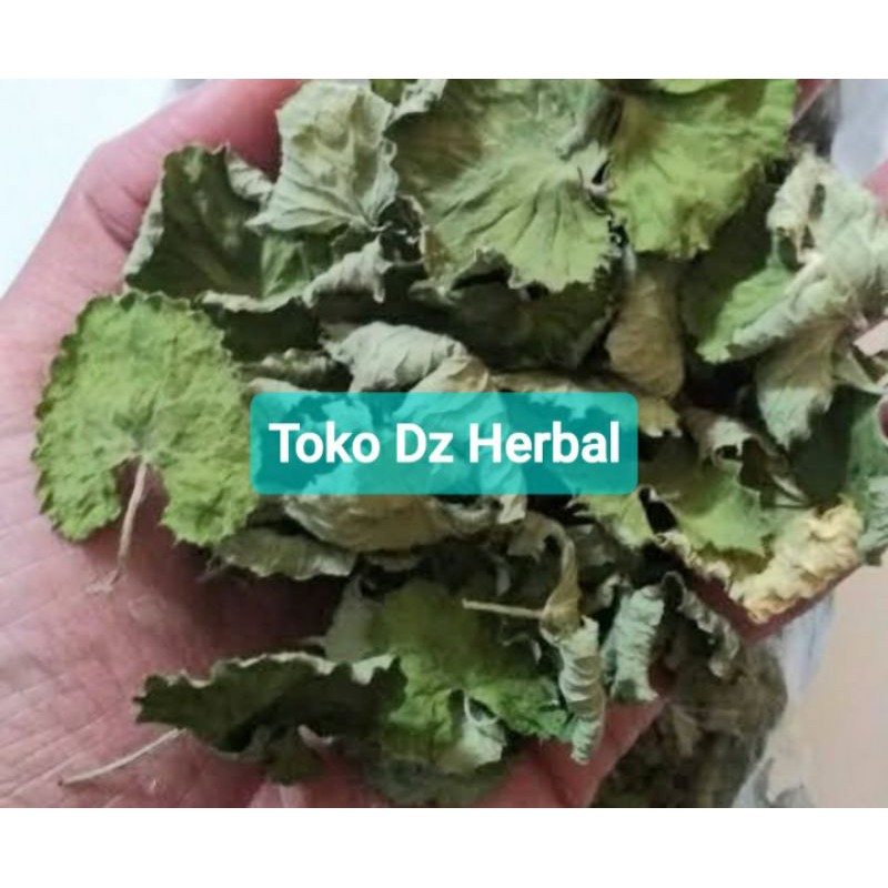 

Daun pegagan kering tanpa akar murni daun-az