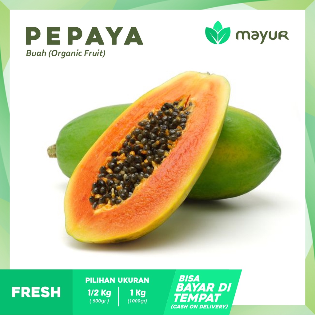 Jual Pepaya Segar 1 Buah Shopee Indonesia