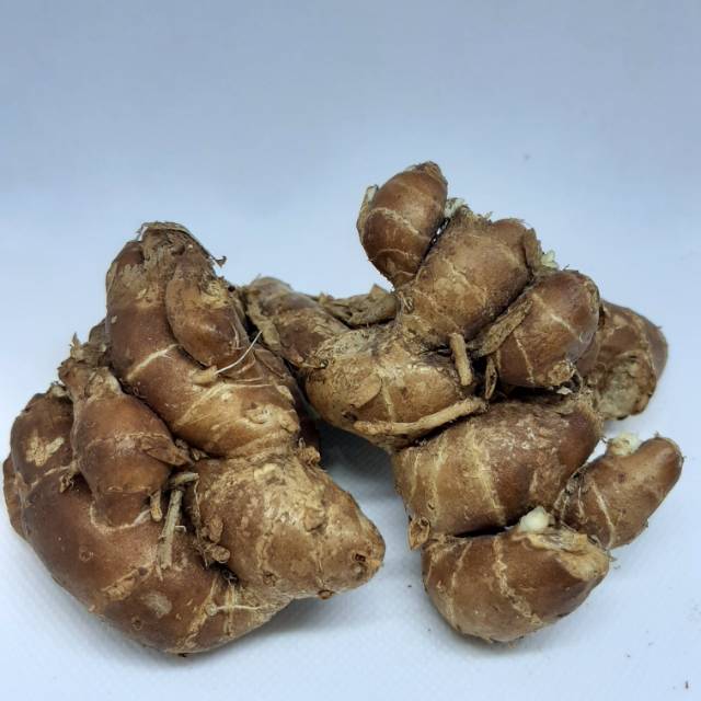 

Kencur 100gram