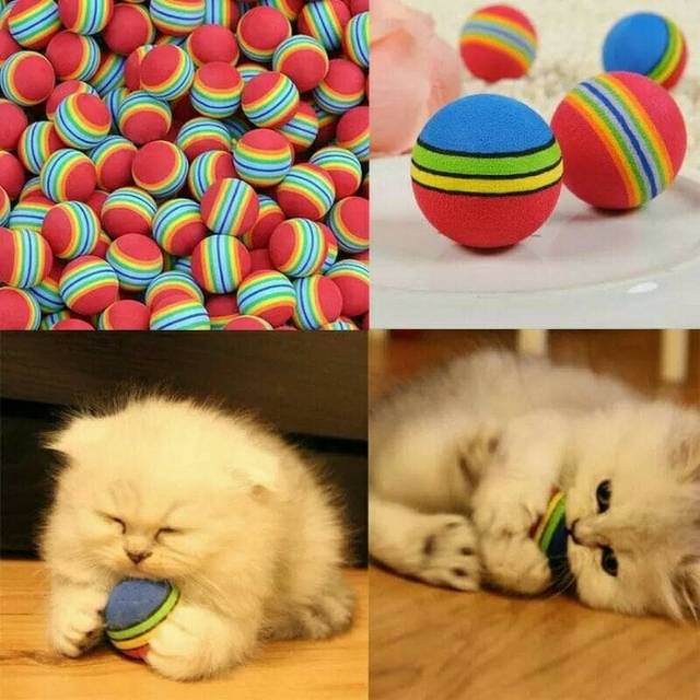 Mainan kucing anjing bola. Ball toys cat dog