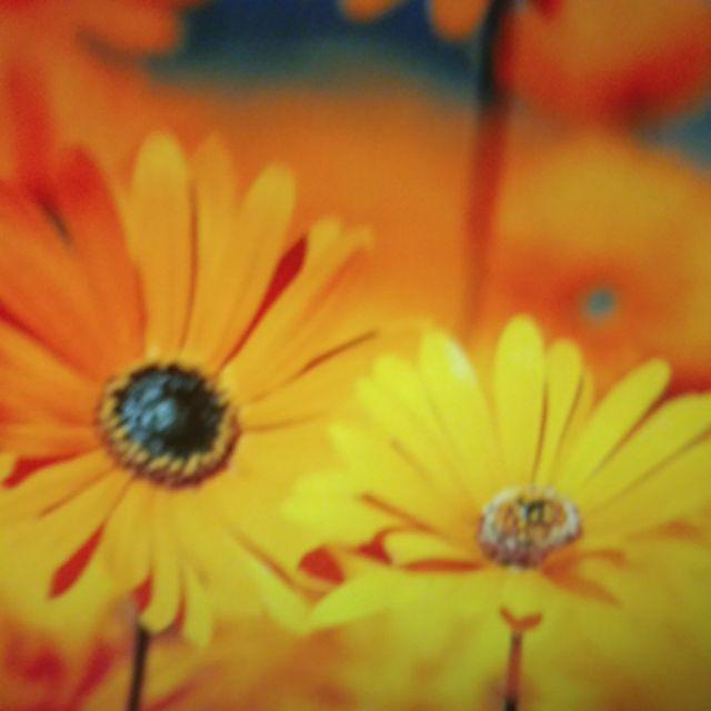 Couple Batik Lowo Wajik Lumbung Batik