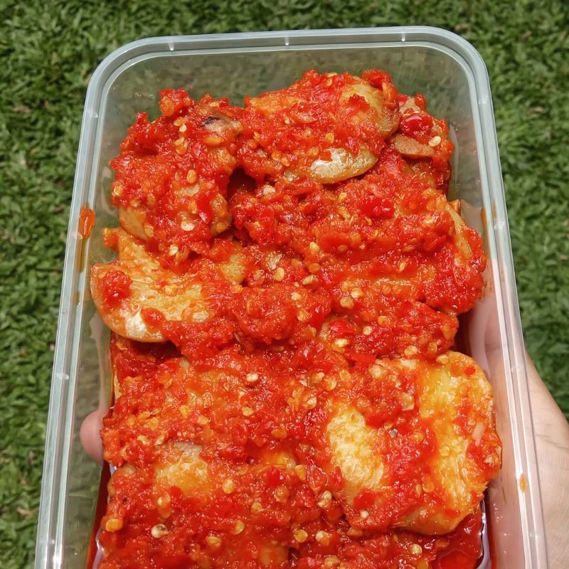 

JENGKOL BALADO