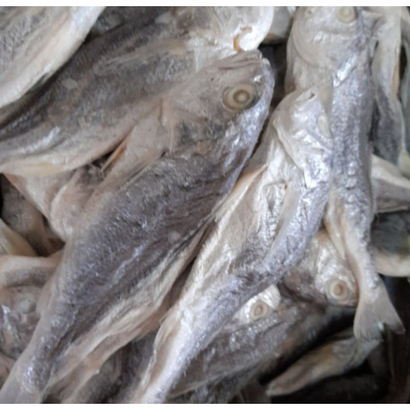 

Ikan Samge Kepala Batu 250 gram