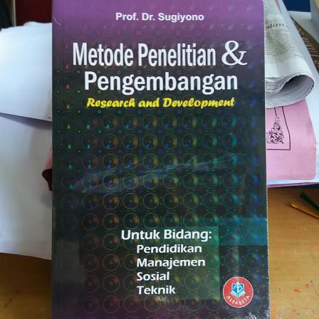 Buku Original Metode Penelitian Dan Pengembangan Sugiyono Alfabeta Shopee Indonesia