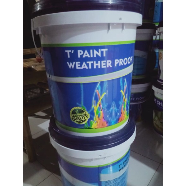 CAT TEMBOK WEATHER PROOF 20KG T'PAINT