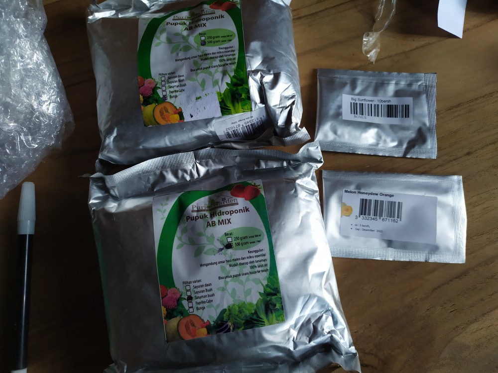 Melon Honeydew Orange 10 Benih