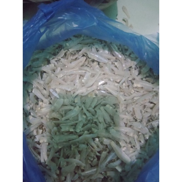 

ikan teri gepeng
