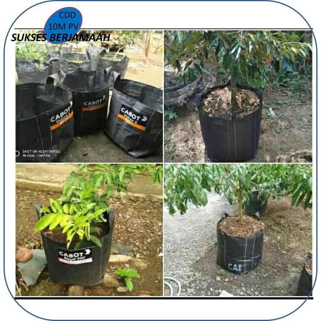 RPM Planter bag 75 liter pot tanaman pot besar pot durian bahan asli