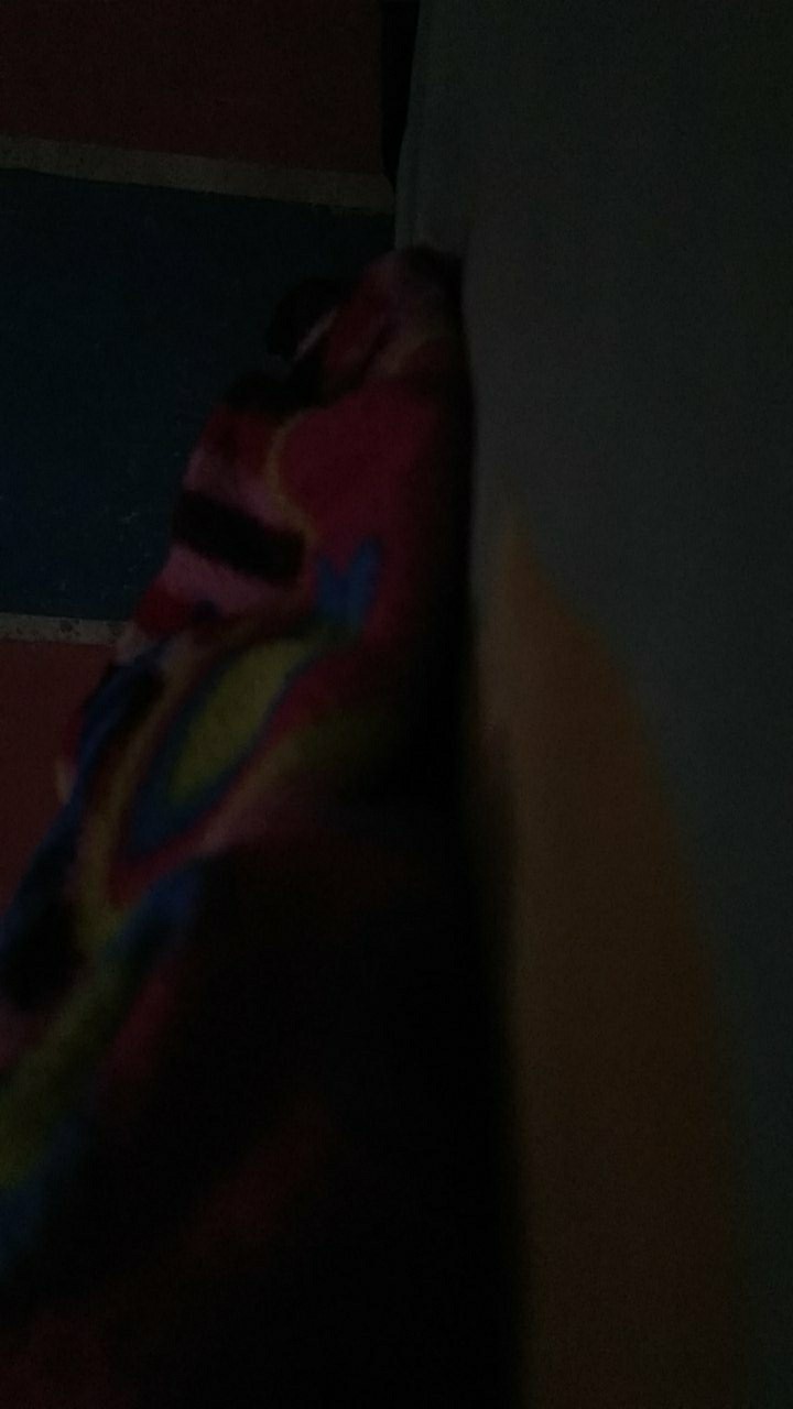 Toples Plastik Kotak Buat Ikan Cupang,permen 2.2 Liter