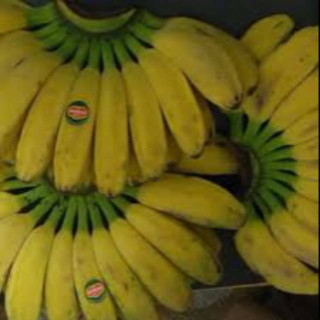 

Pisang kepok 1 sisir