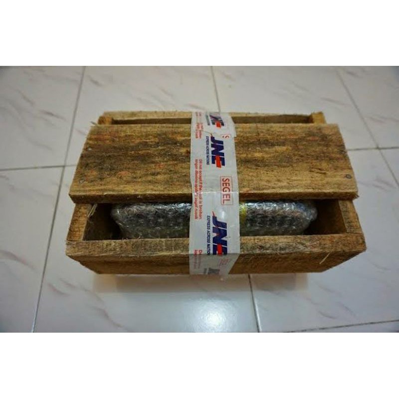 paking kayu untuk aquarium bahari dan gex 60 cm
