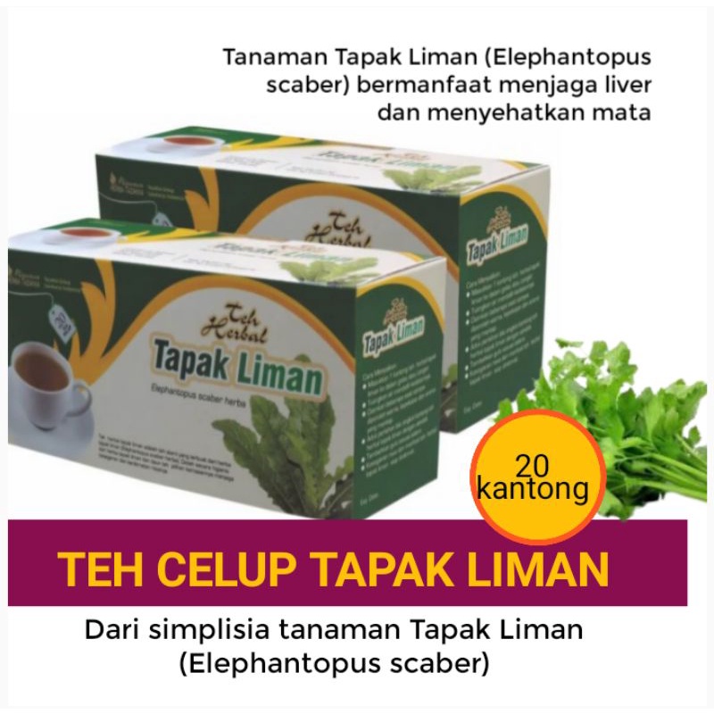 

Teh Celup Herbal Tapak Liman