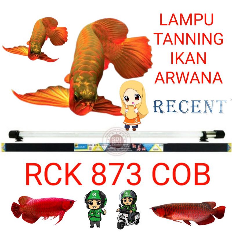 LAMPU TANNING AQUARIUM RECENT RCK 873 COB