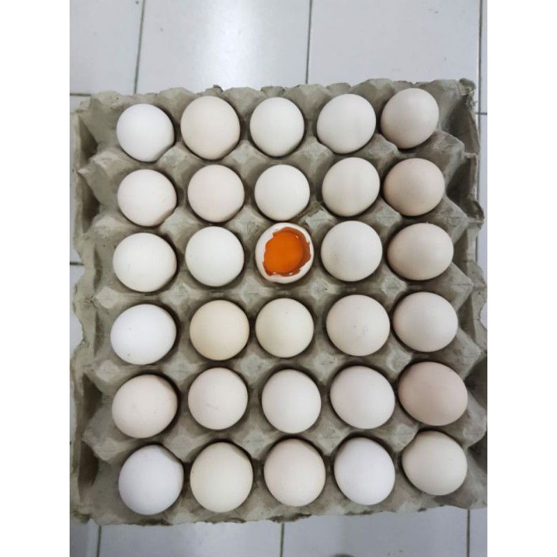 Telur Ayam Kmpung Omega / butir