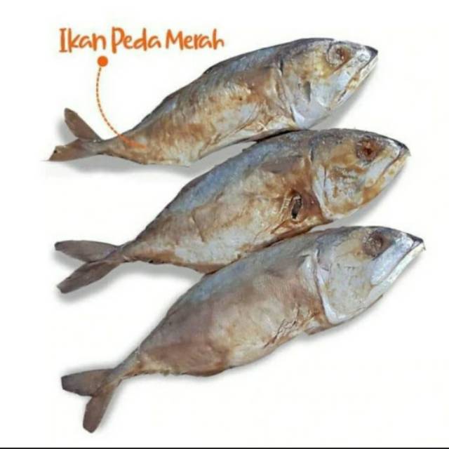 

SayurHD ikan asin peda merah 250 gram