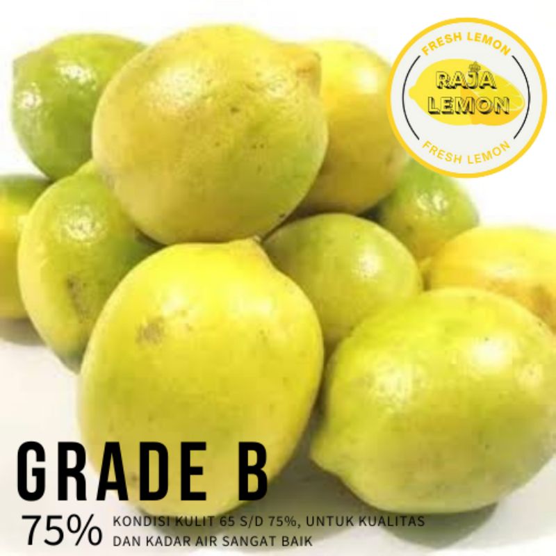 

JERUK LEMON CALIFORNIA SUPER GRADE B 1kg (isi 5-7)