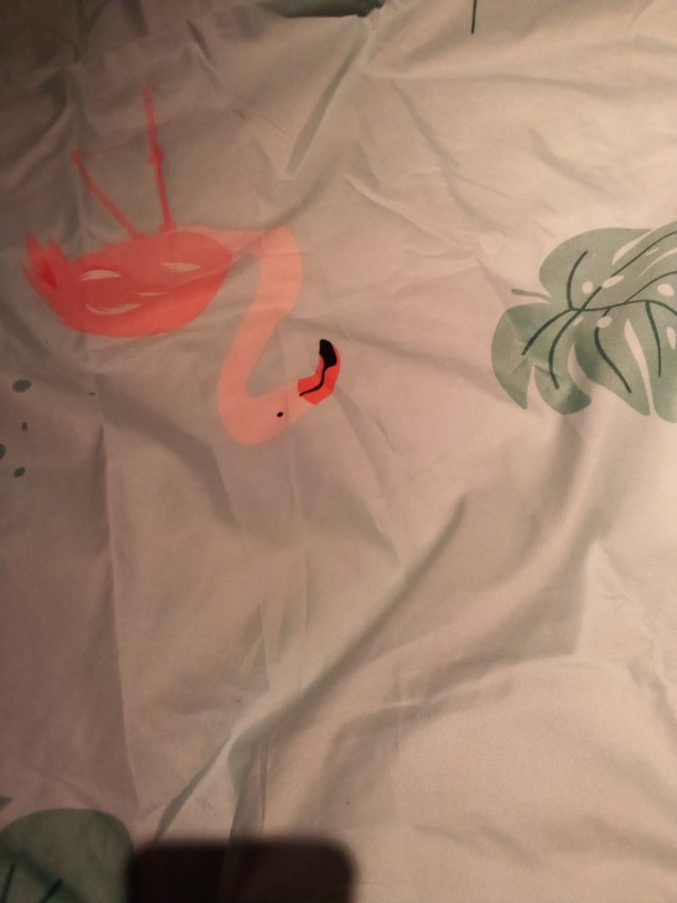 [𝐏𝐑𝐈𝐍𝐂𝐄𝐒𝐒] Sprei Murah Motif Flamingo / Sprei Motif Angsa / Sprei Motif Dewasa / Sprei Best Seller