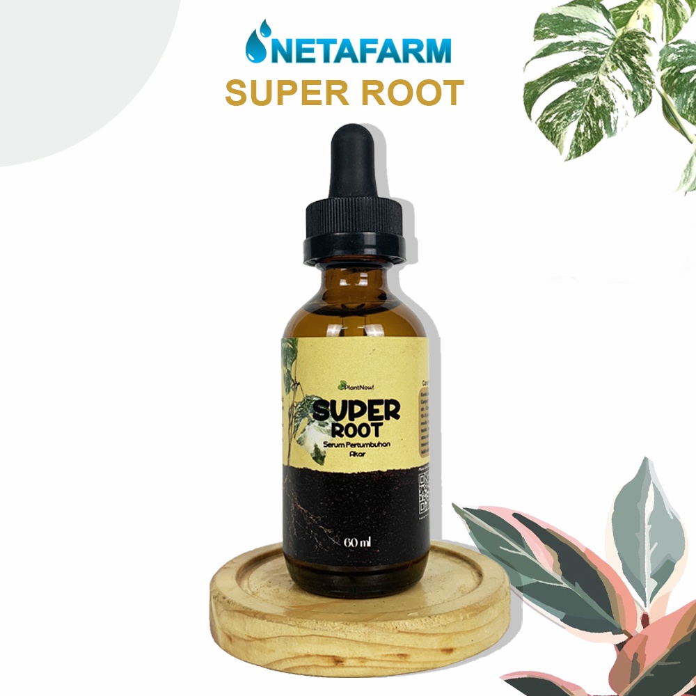 Serum Super Root untuk Pertumbuhan Akar 60ml - 1pcs