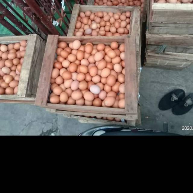 

Telor ayam negri
