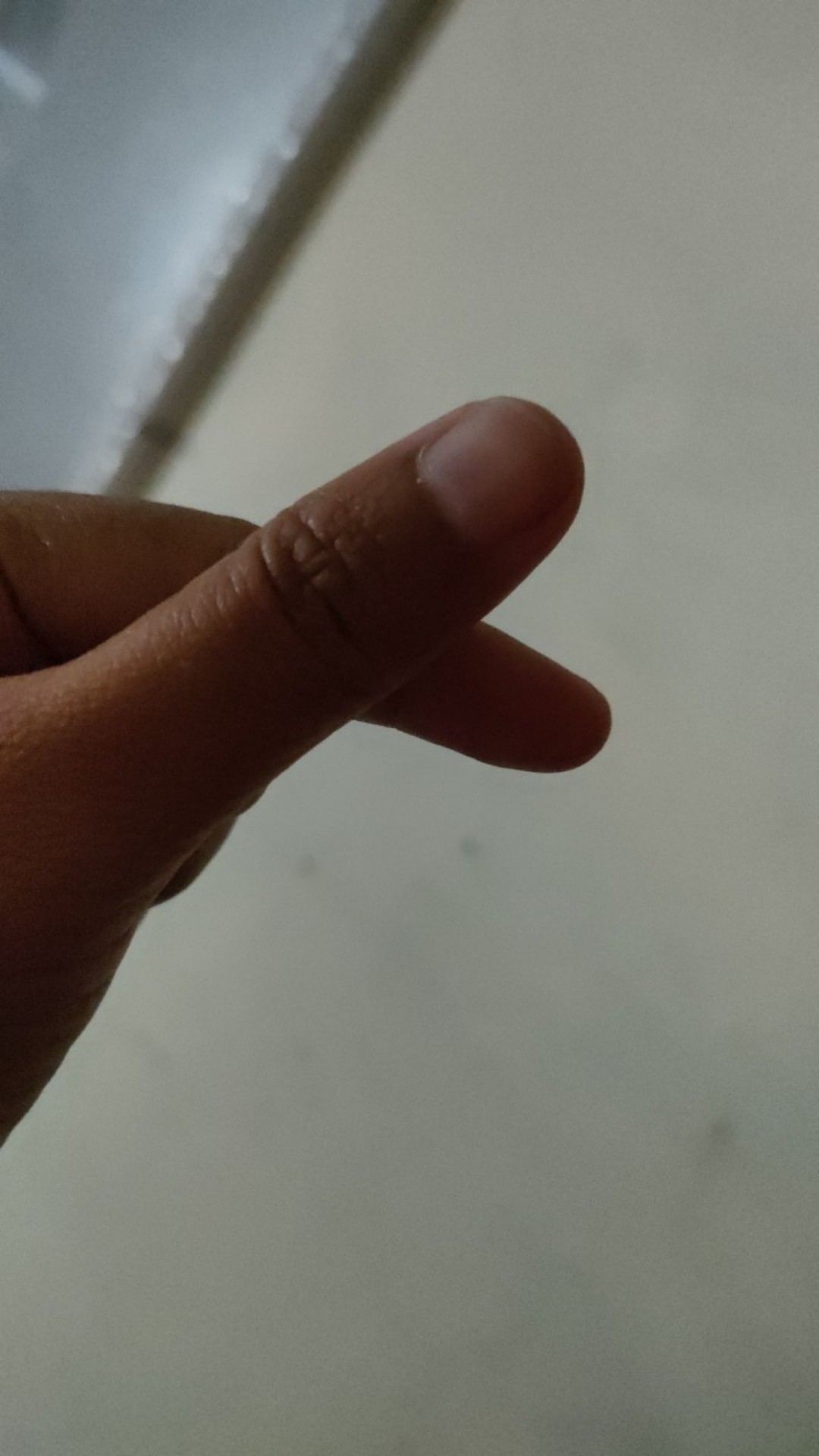 Payung Anak Karakter Unicorn Gagang Tongkat.