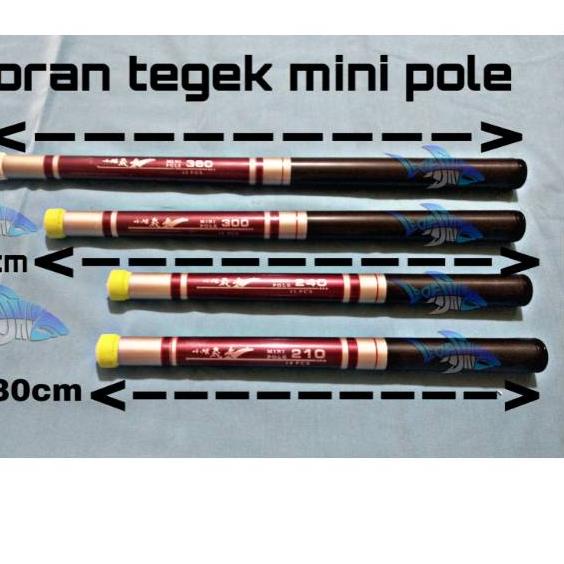 [Q_0] 2.2 MINI POLE TEGEK RUAS PENDEK ACTION MEDIUM HARD TERSEDIA 180 210 240 270 300 360 Bayar Dite