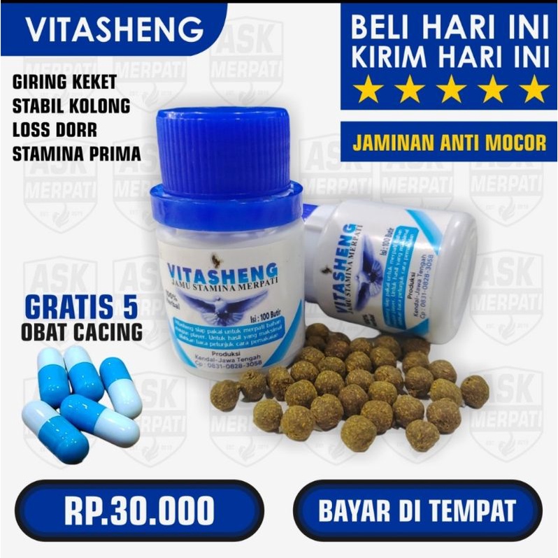 

JAMU VITASHENG MERPATI 100% TERBUAT DARI HERBAL