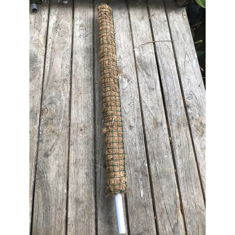 turus/rambatan bunga tinggi 60cm