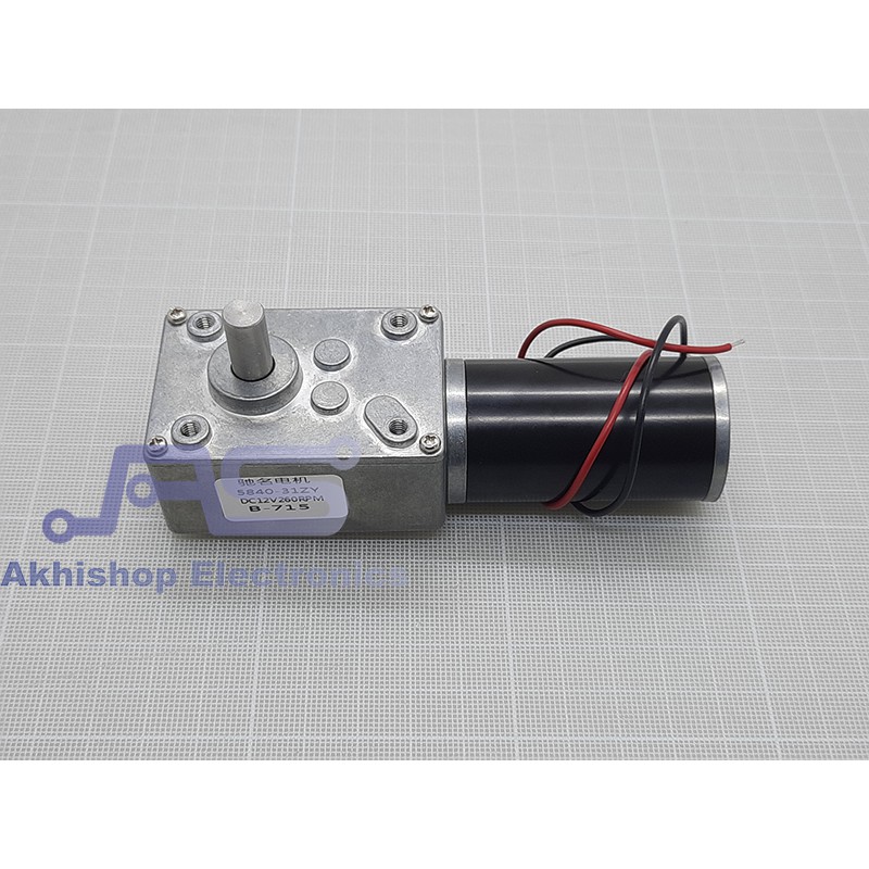 Permanent Magnet Worm Gear Motor DC 4058GW31ZY 12V 260RPM