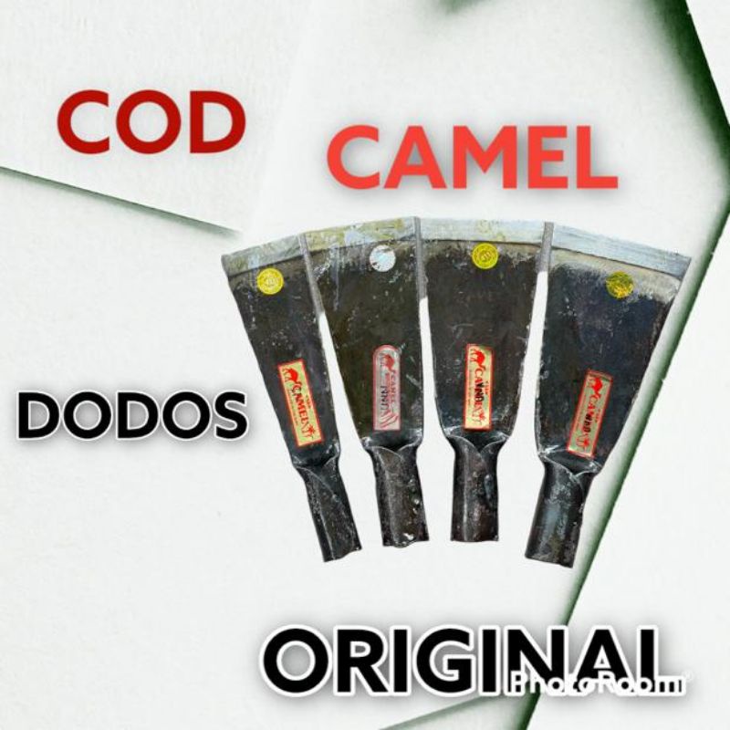 DODOS SAWIT CAMEL MALAYSIA