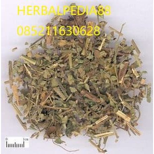 

Xian He Cao (Agrimonia Herb) Herba Agrimoniae 600 gram