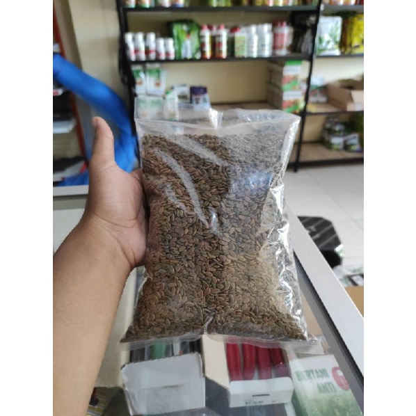 Biji Sengon Laut bibit albasia Benih sengon 1 Kg