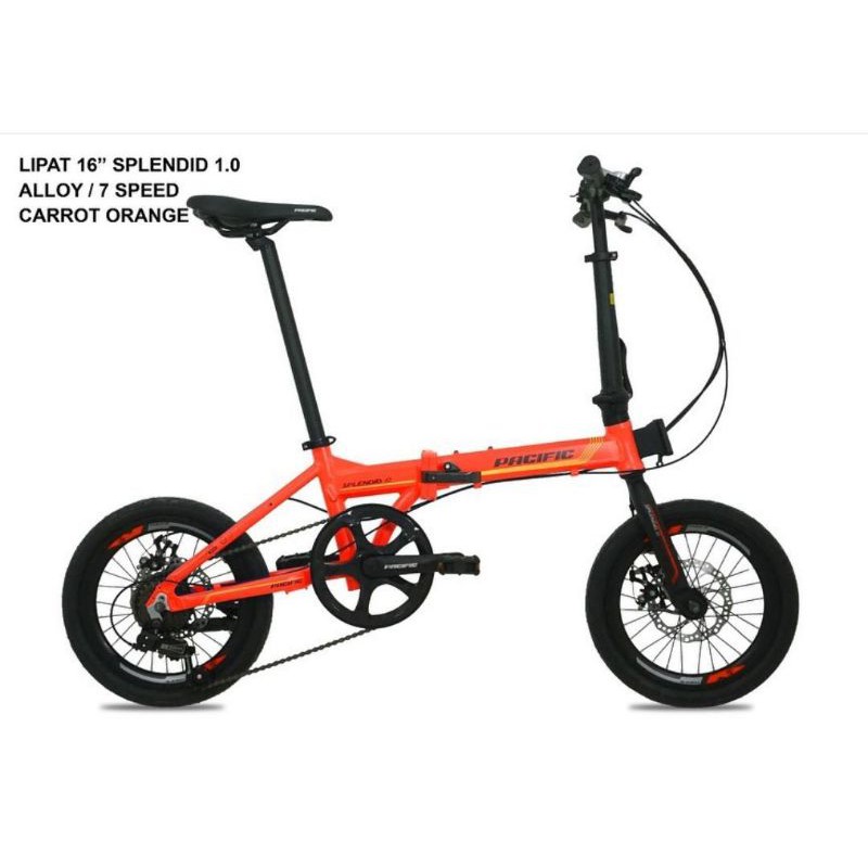 SELI PACIFIC SPLENDID 1.0 16"