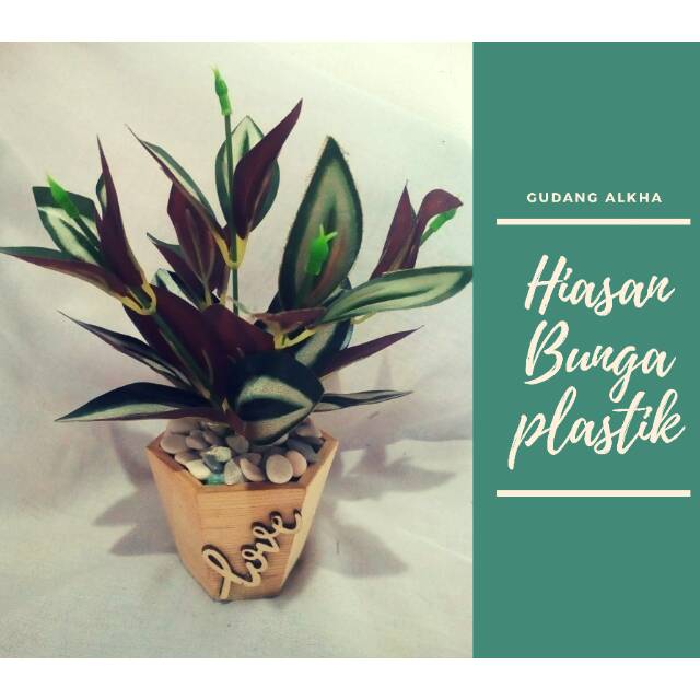 Jual Tanaman hias / Pot tanaman | Shopee Indonesia
