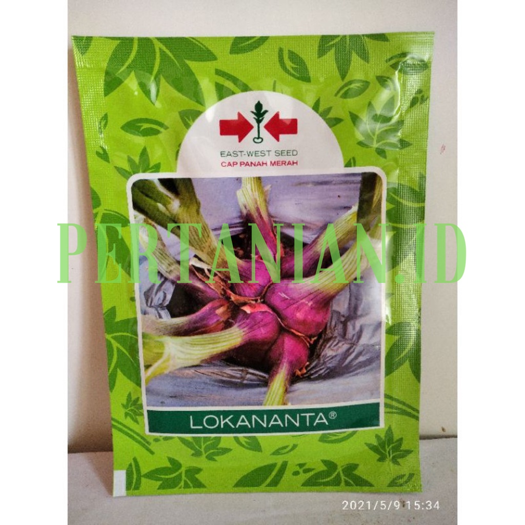 BENIH BIBIT BAWANG MERAH LOKANANTA 10gram ~ CAP PANAH MERAH