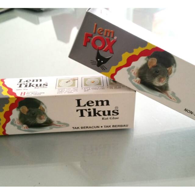 

Lem Tikus fox