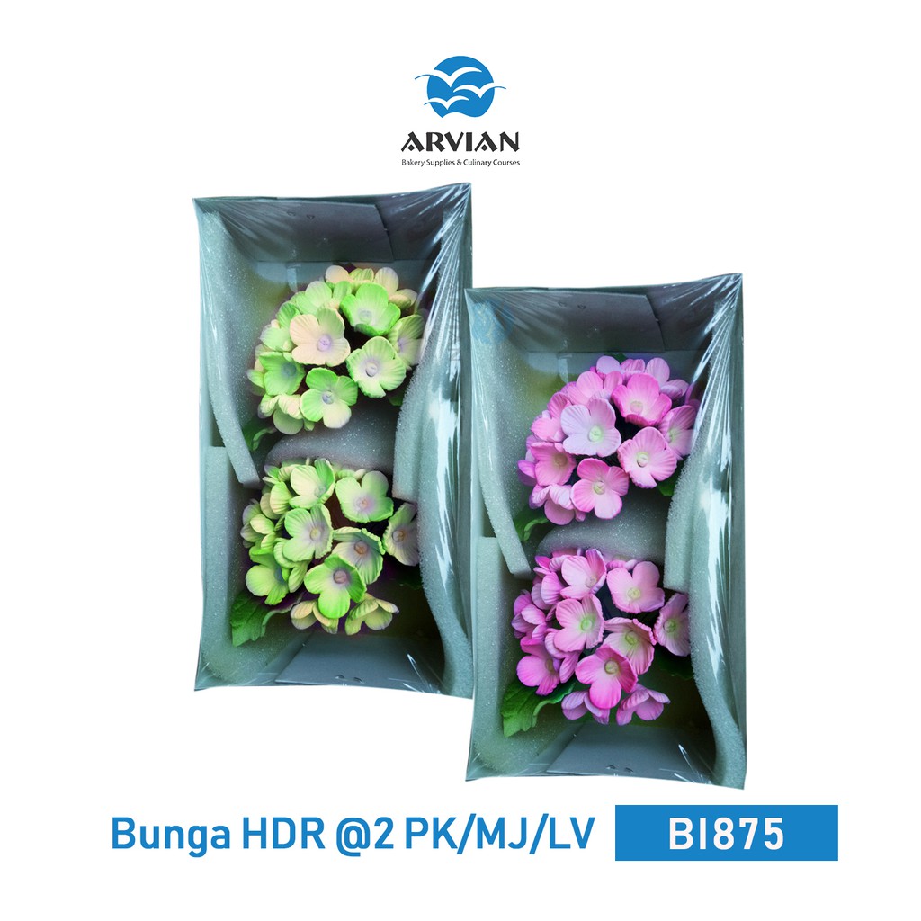 

Gumpaste Bunga Hydrangea [Instant Surabaya] - Arvian