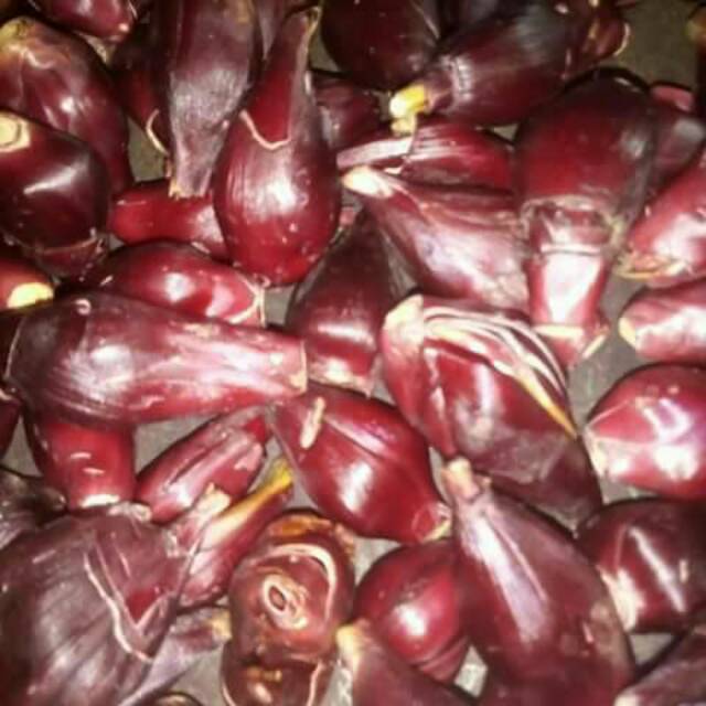 Bawang Dayak Segar Penakluk 43 Macam Penyakit Shopee Indonesia