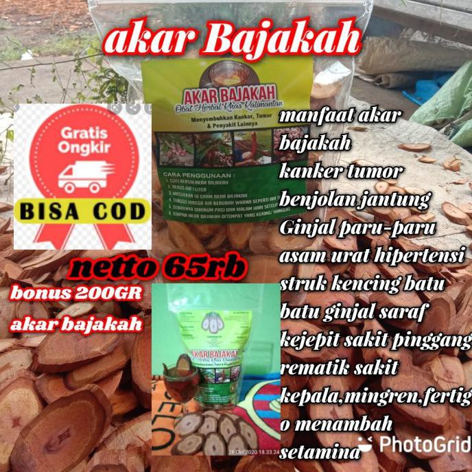 

Akar Bajakah Kalalawit Merah Asli Kalimantan 85Rb/Kg