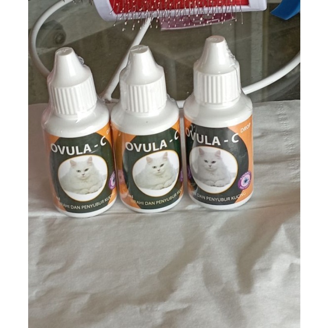 Ovula-C obat birahi kucing dan penyubur kandungan kucing