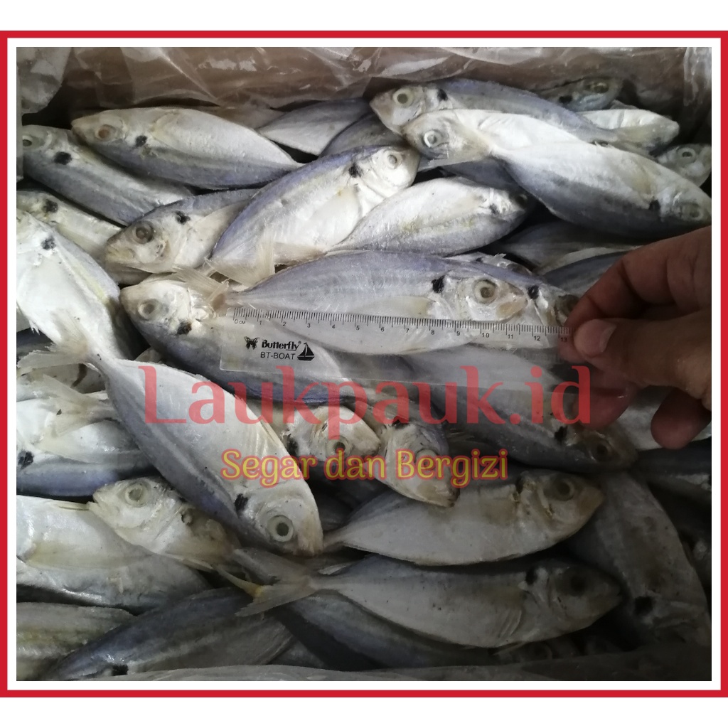 

Grosir Ikan Asin Selar 100 gram