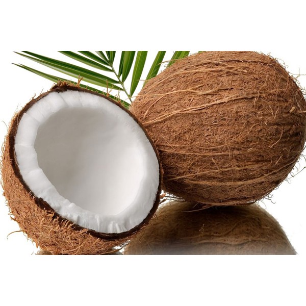 

Kelapa Tua
