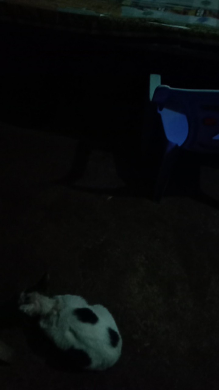 Mahkota Pendek Kemeja Batik Pria Full Furing Bahan Katun Halus Primisima