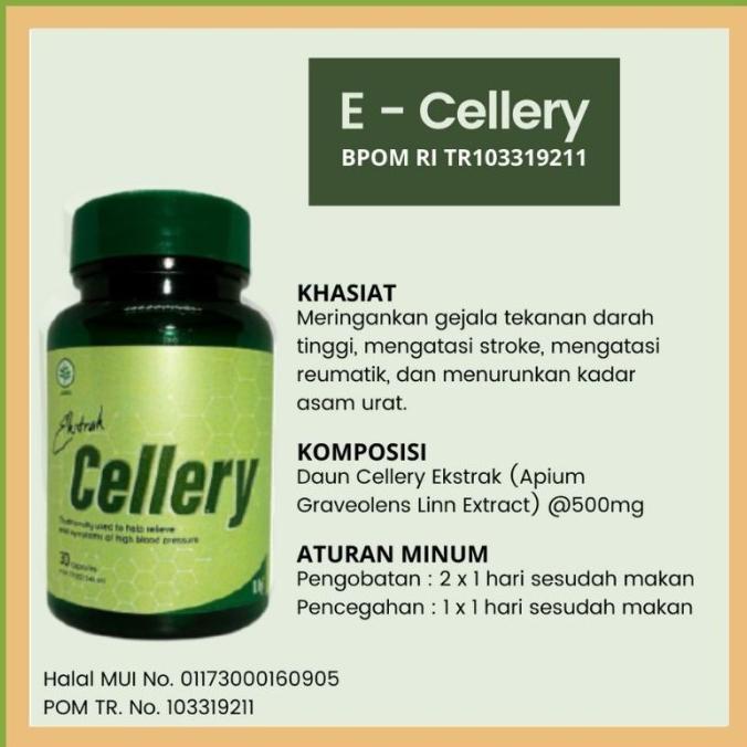 (BISA COD) CELLERY ASLI Obat Herbal  Penurun Hipertensi  Darah Tinggi