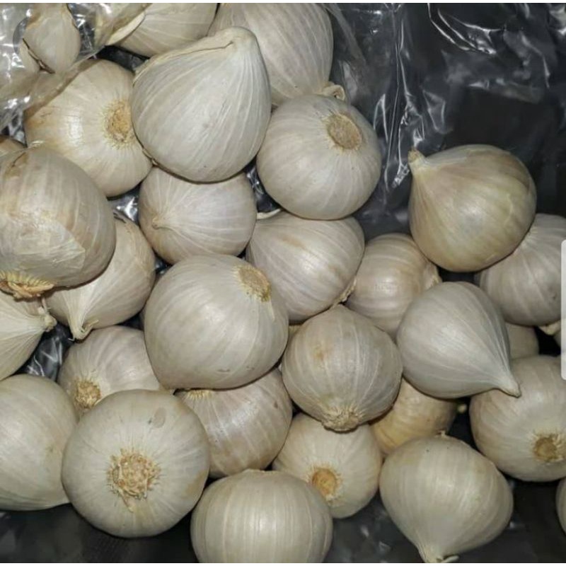 

Bawang tunggal