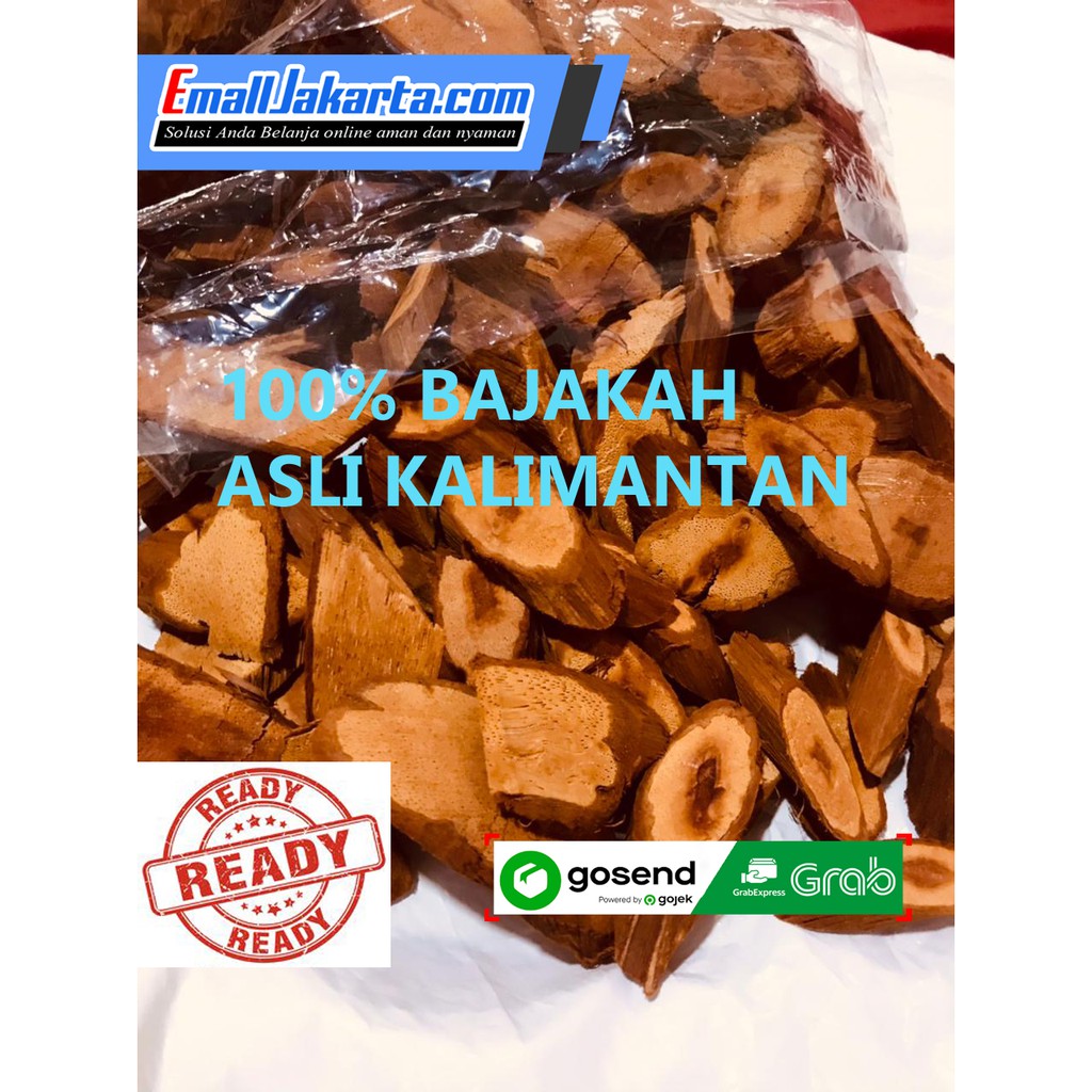 KAYU BAJAKAH ASLI KALIMANTAN GROSIR AKAR BAJAKA KALAWIT MERAH 250 GRAM