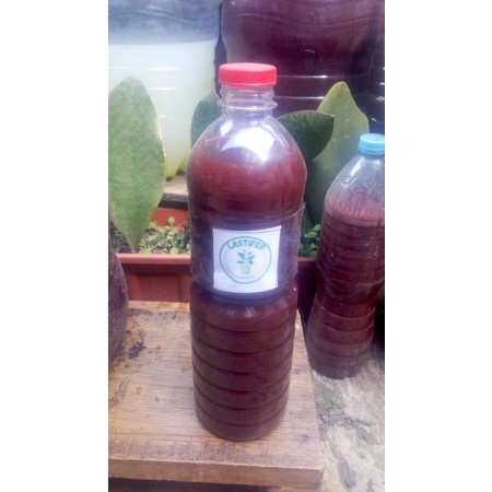 pupuk biang bakteri fotosintesis PSB kental jemur tahunan 1000 ml