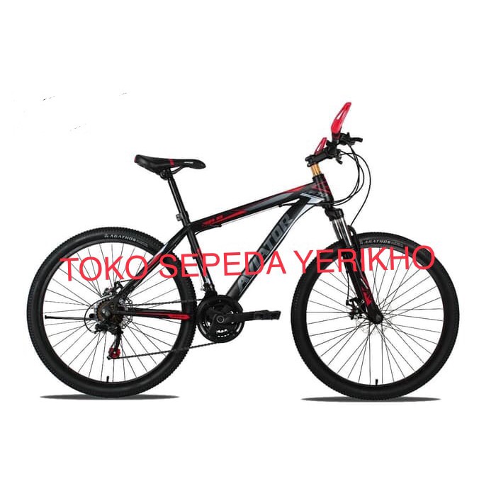 Promo Sepeda MTB Remaja 24 Aviator 2689 RS Bearing Discbrake Murah