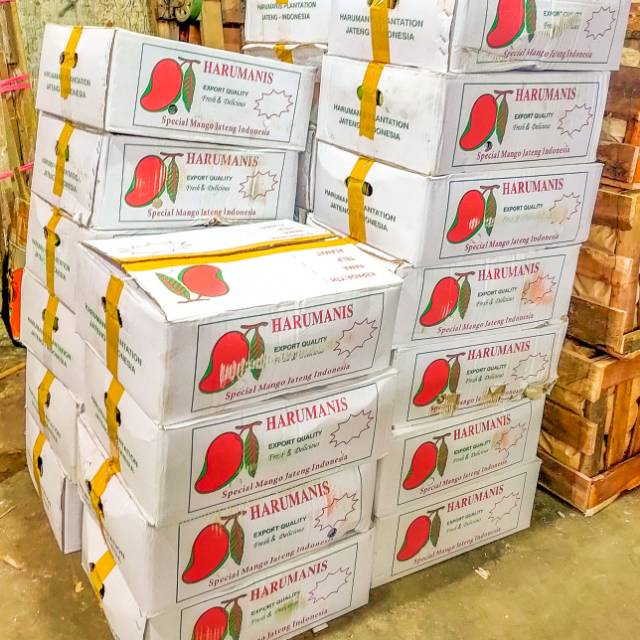 

MANGGA HARUMANIS PREMIUM, MASAK POHON