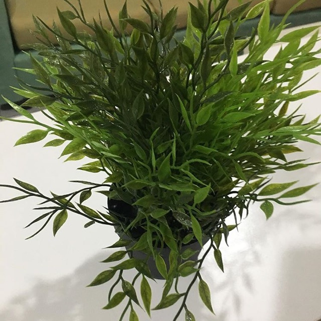 Ex display bunga palsu ikea fejka