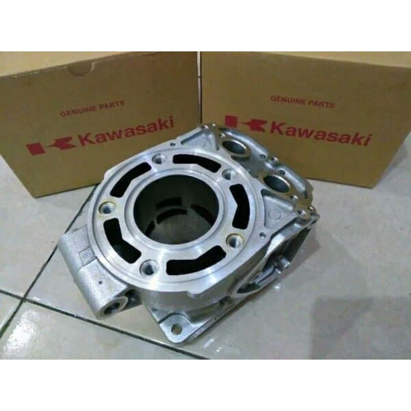 blok ninja rr-r ss ori kawasaki 100%